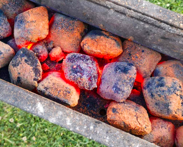 Consigli sui combustibili per bbq-1.png