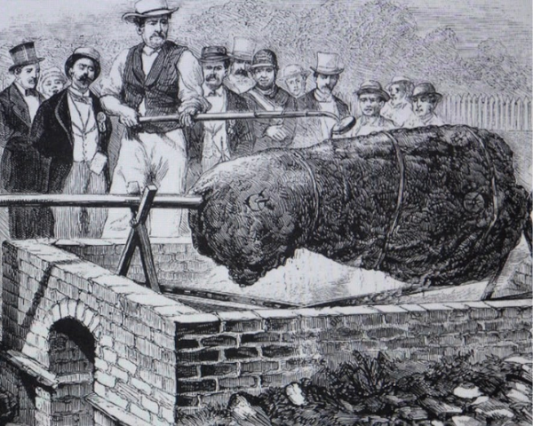 Le origini del barbecue: ecco da dove arriva il passatempo più amato al mondo