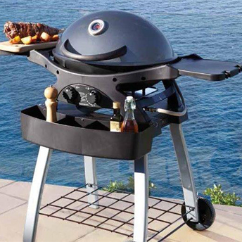 Twingrill gas barbecue two fires